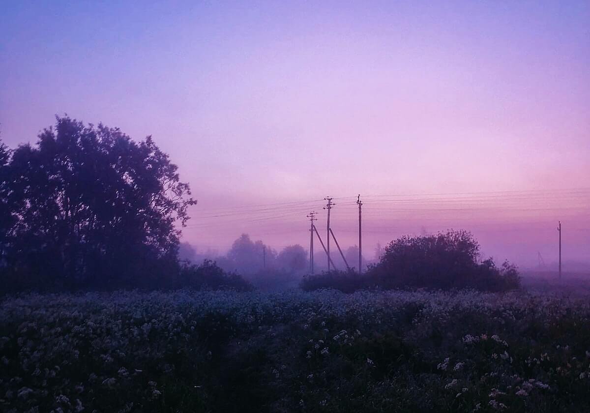 澳门真人百家乐登录入口：开启真实现场的娱乐新纪元